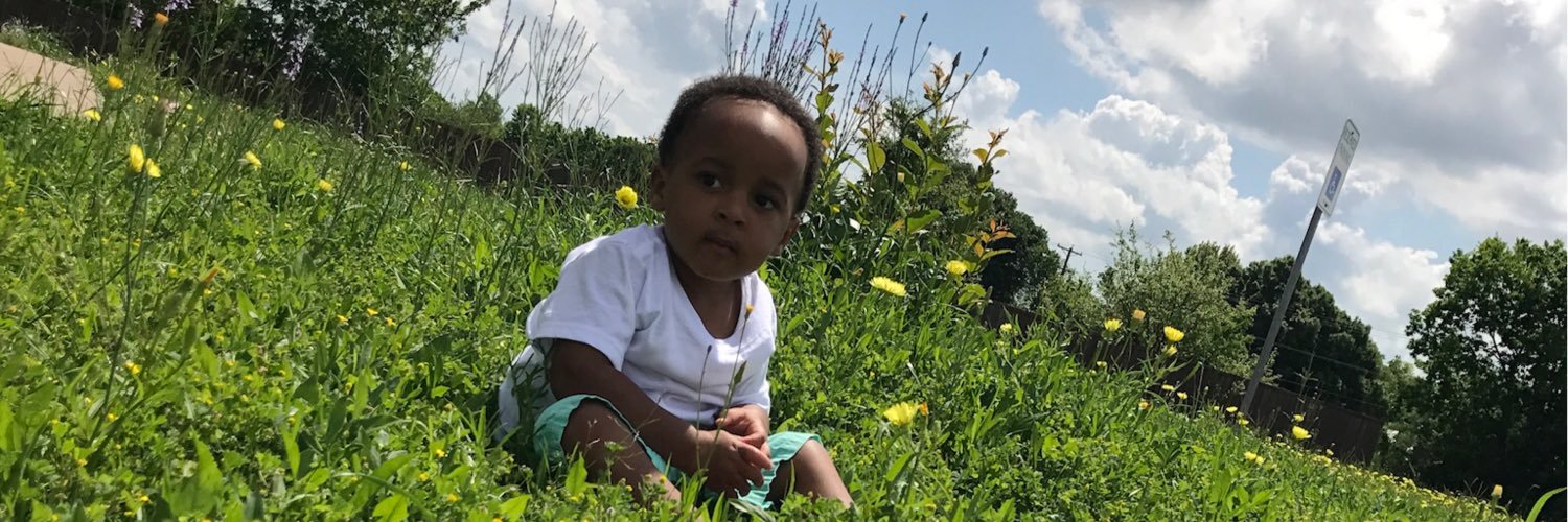 ittybittyniya's profile banner image