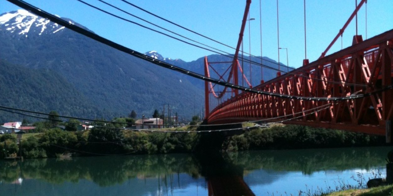 PABLO TORO 🌳 banner