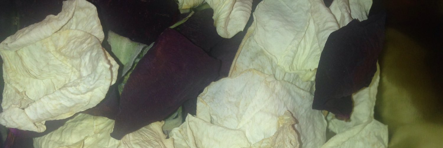 SO_PI's profile banner image