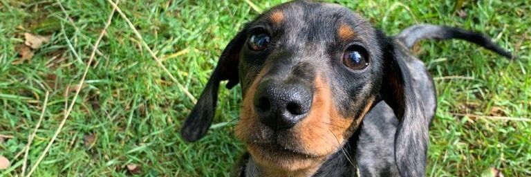SukeydukeySukey's profile banner image