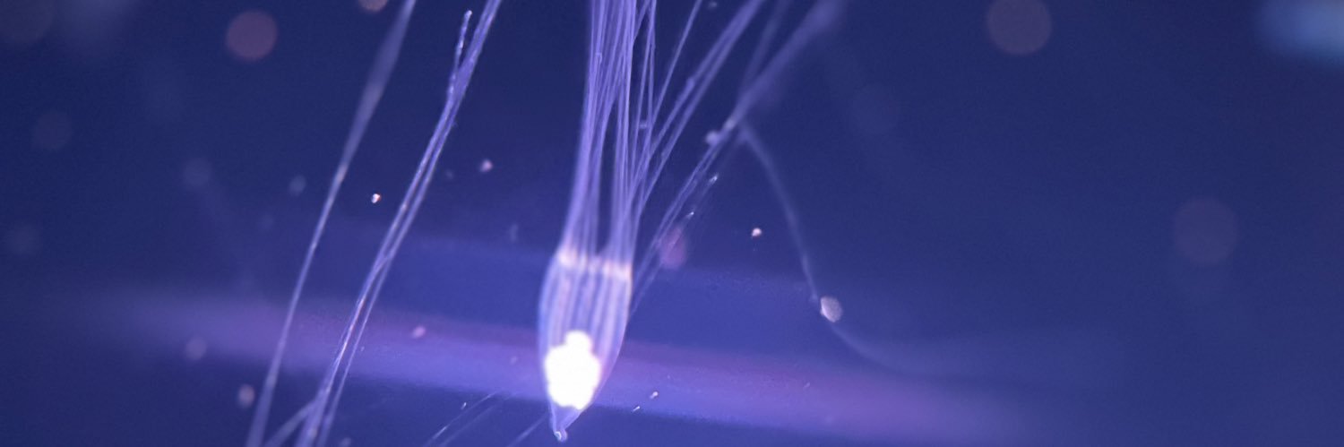 LightDuhh's profile banner image