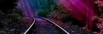 feastoffoolss's profile banner image
