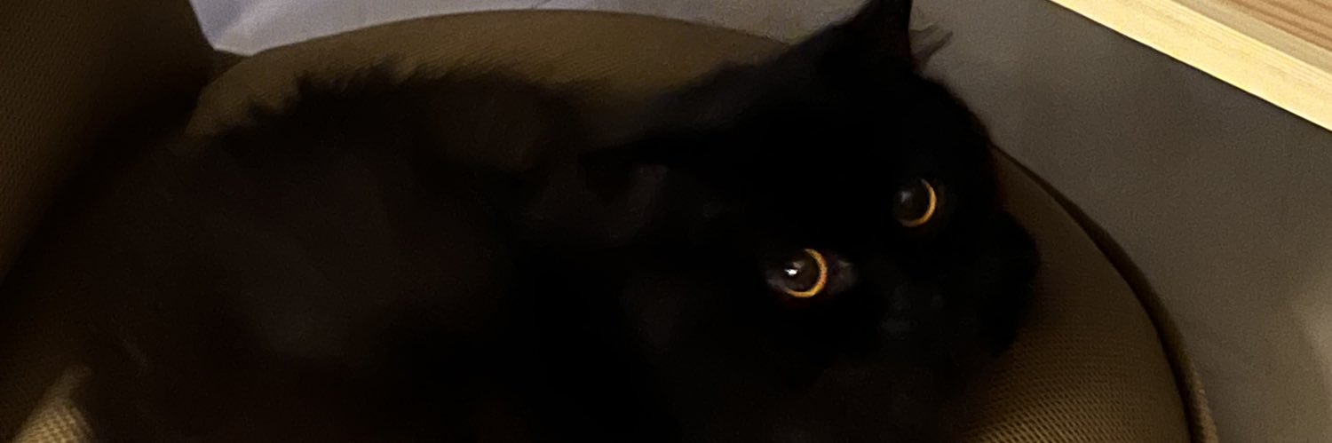 kywubes's profile banner image