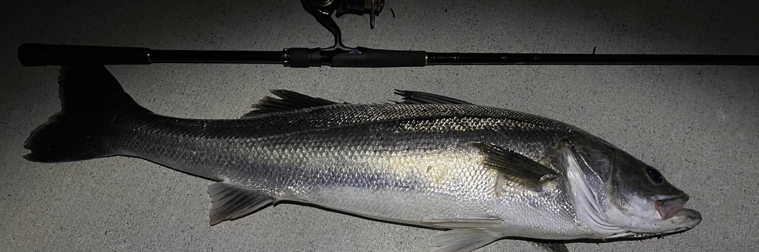 TF_Angler's profile banner image