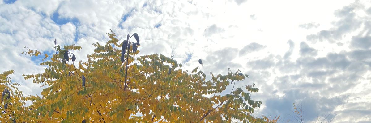 nanik96's profile banner image