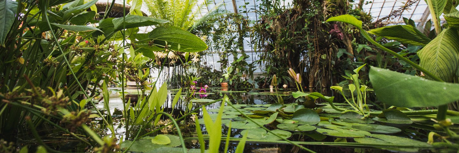 SFConservatory banner