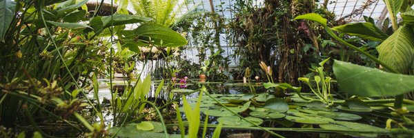 SFConservatory Profile Banner