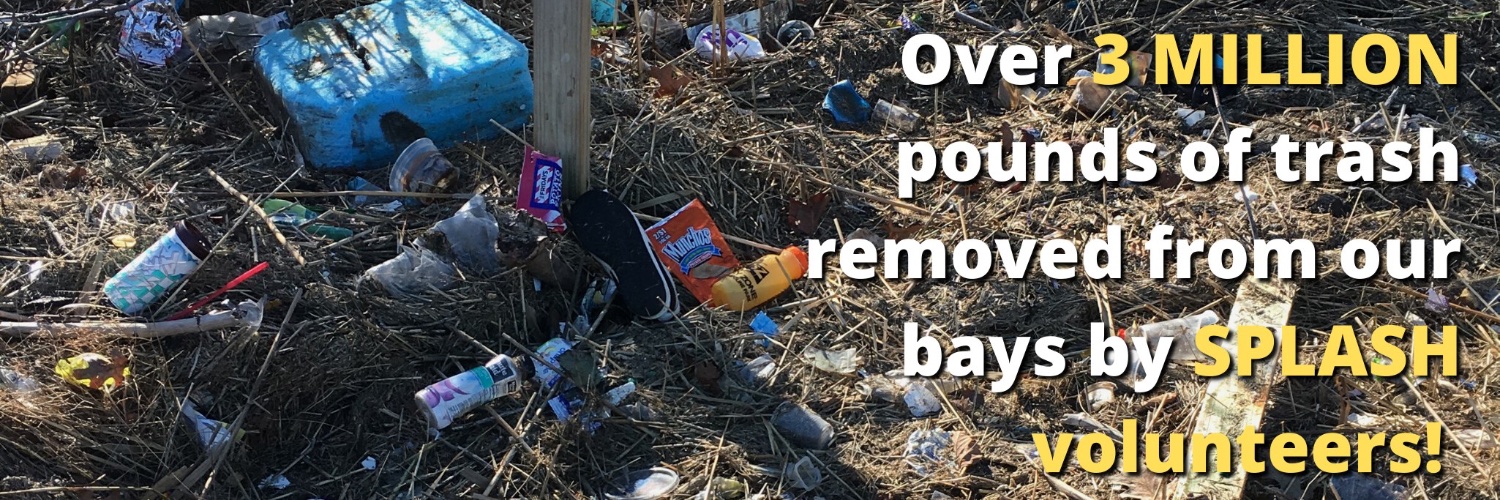 Operation SPLASH banner