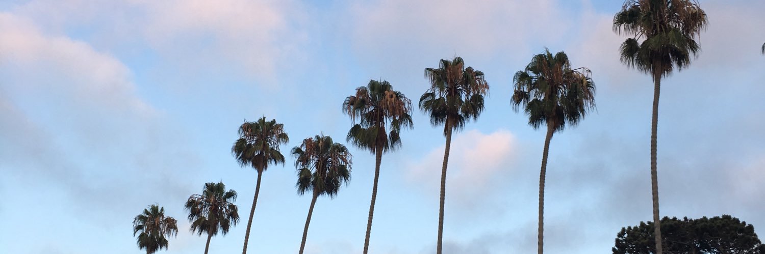 ReelVlogs's profile banner image