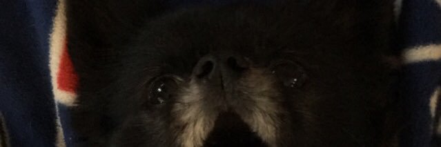 kitkatmacd's profile banner image