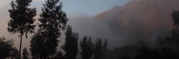 BexShapiro Profile Banner