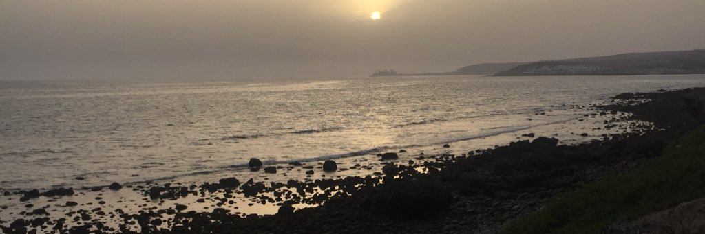 pecoar's profile banner image