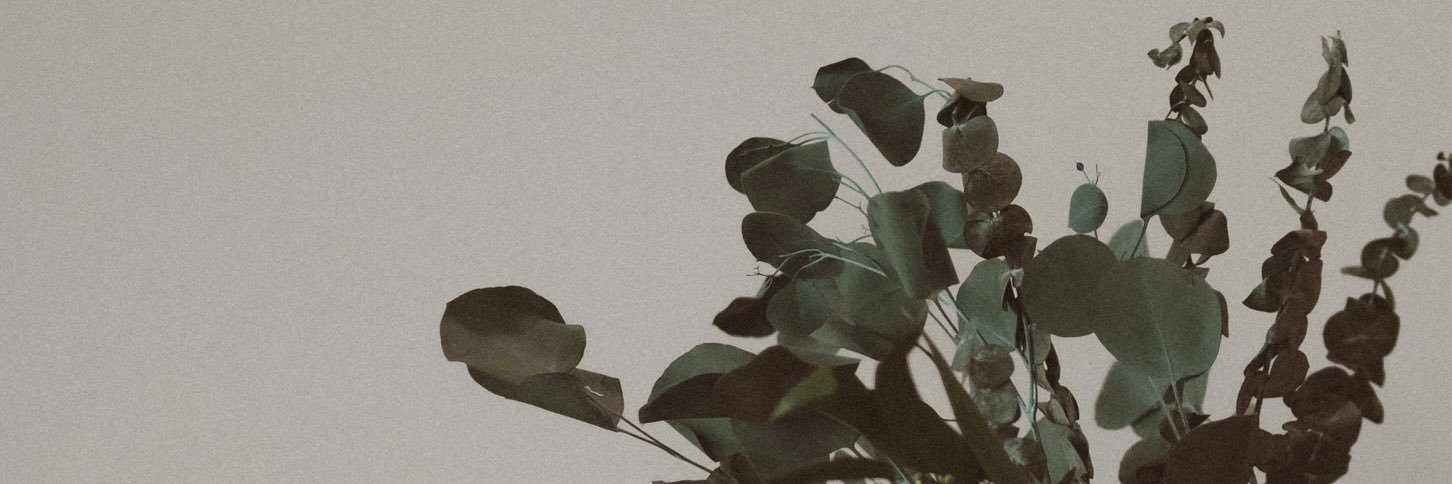 finding_reemo's profile banner image