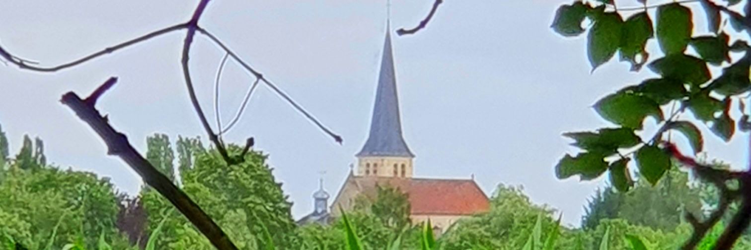 Vlc77's profile banner image