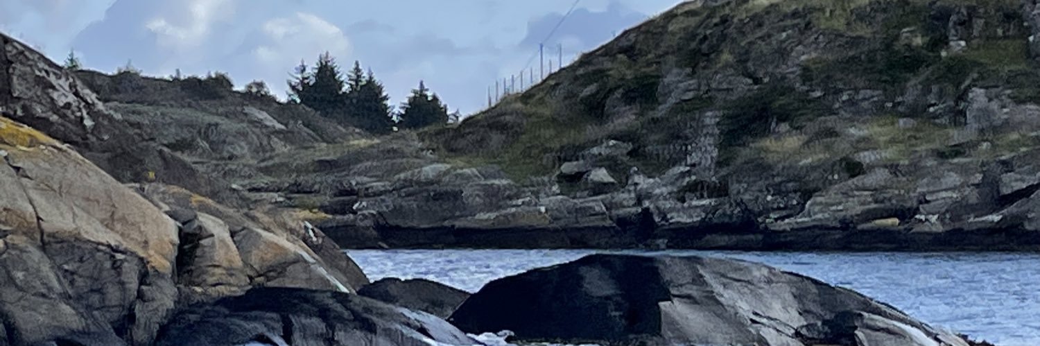 MJFaas1976's profile banner image