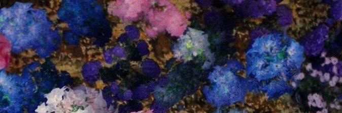 _DeborahMolina's profile banner image