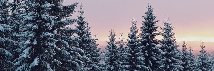 Henarsg_'s profile banner image