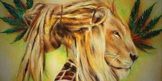 aucoon's profile banner image