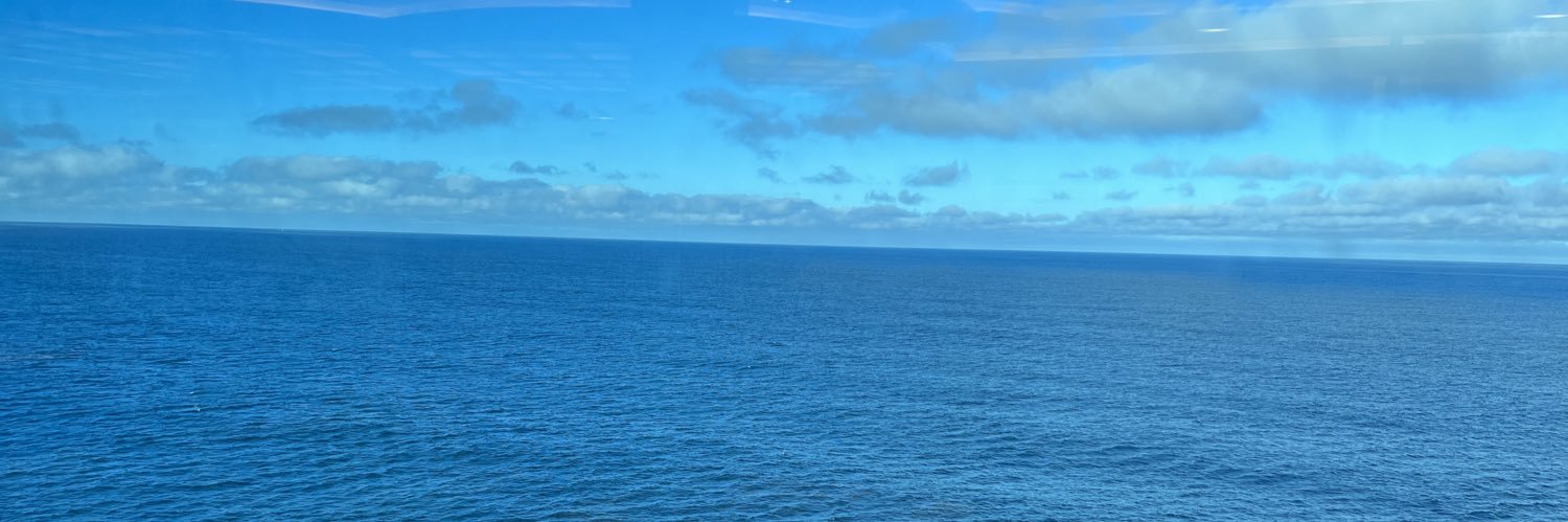 MindyEngler's profile banner image