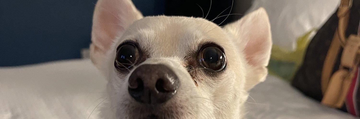 CandiAnnLand's profile banner image