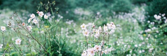 kaylin_doherty's profile banner image