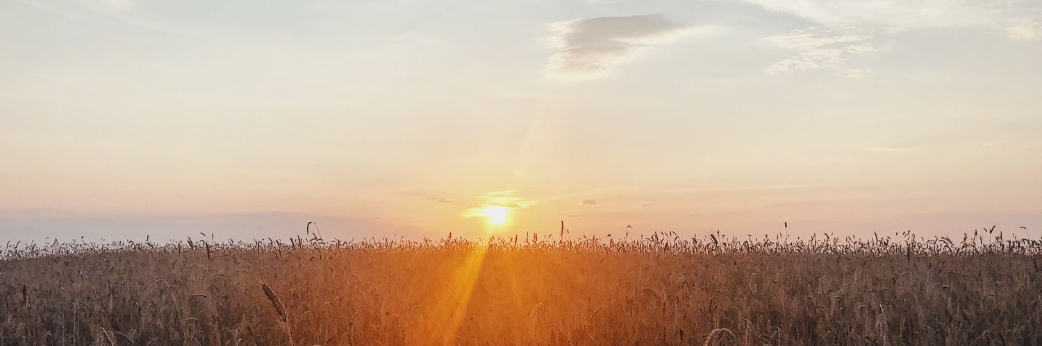 AlanaReick's profile banner image