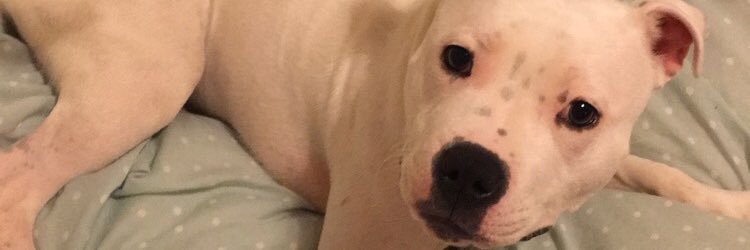 ShannenCody's profile banner image