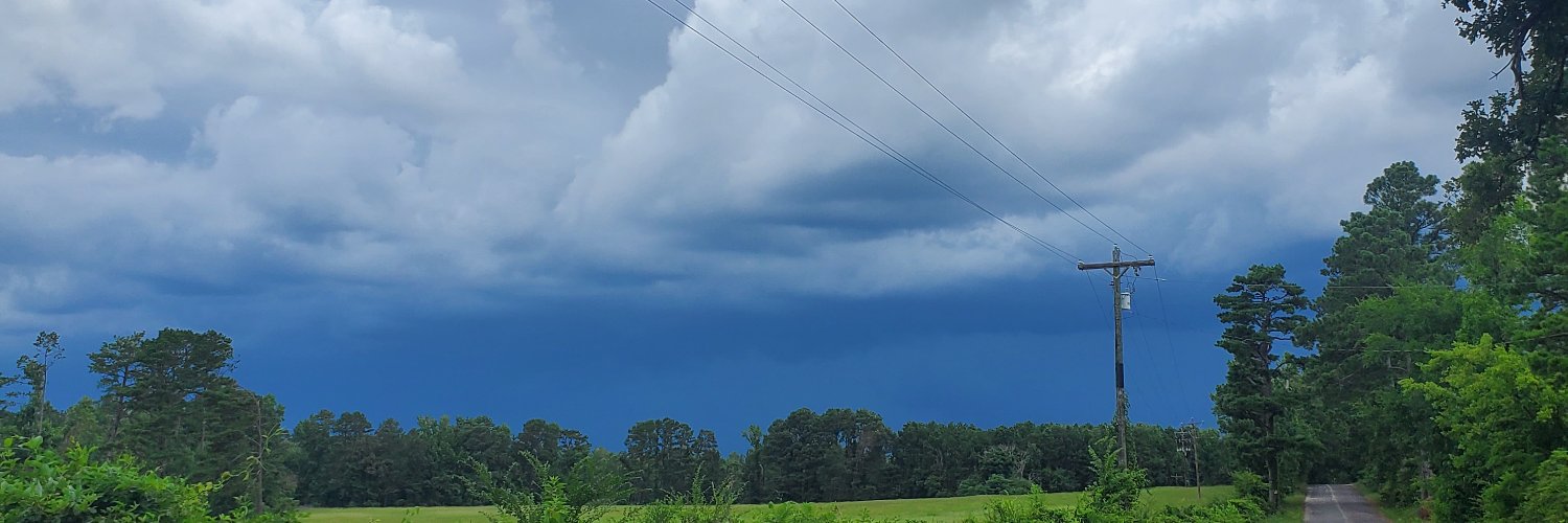 CrystalSteinige's profile banner image