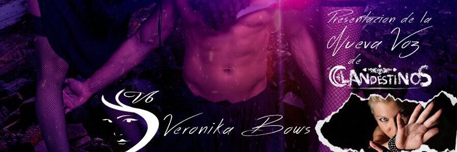 VERONIKABOWS's profile banner image
