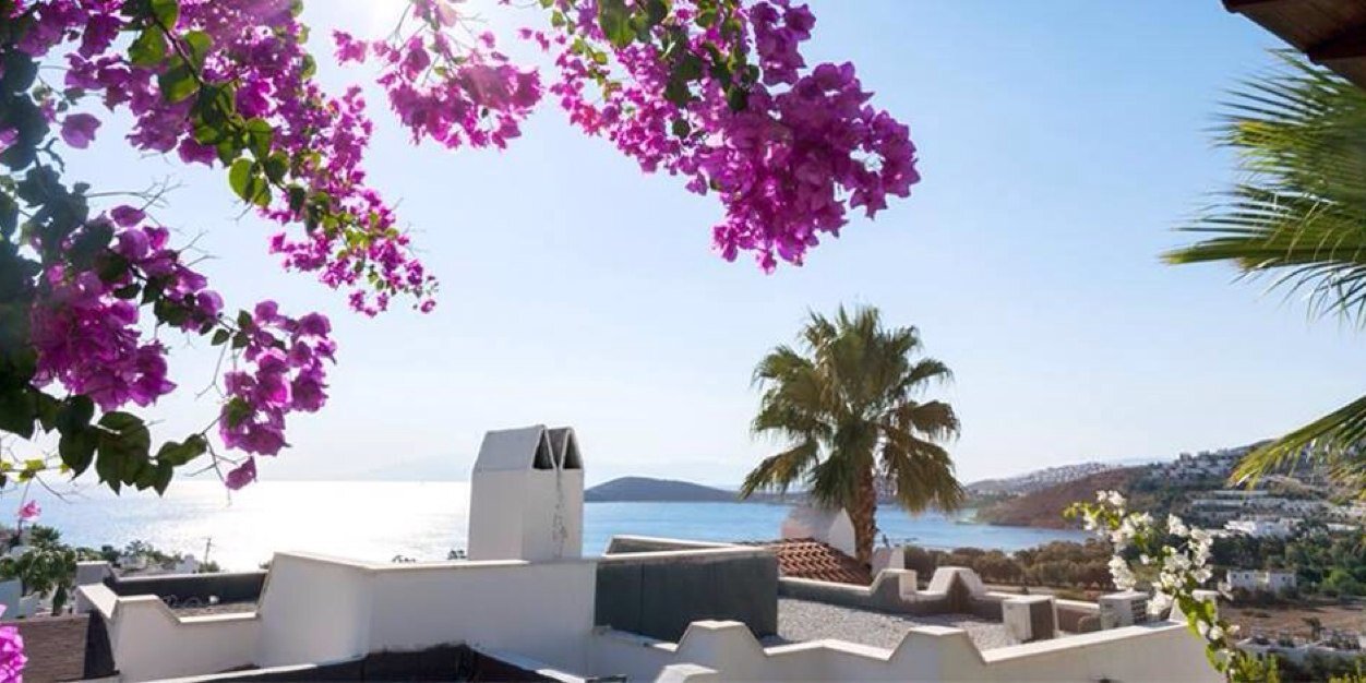 Let's Bodrum banner