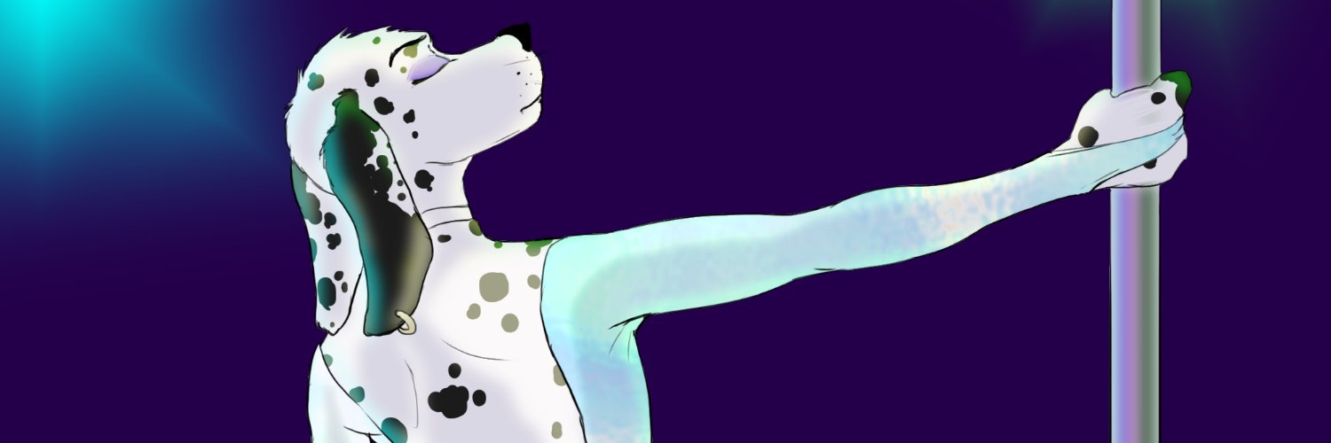 Spottystuff's profile banner image