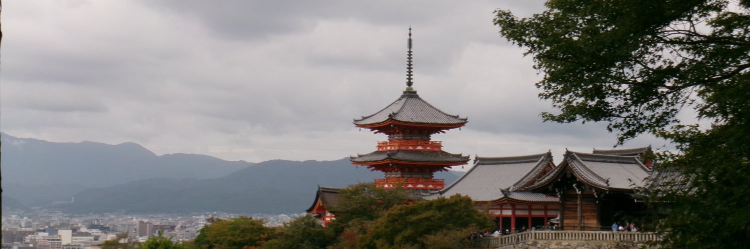 ninisitar's profile banner image