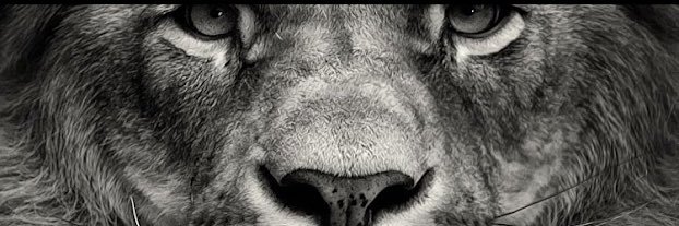 Khalid Wilson 3️⃣ banner