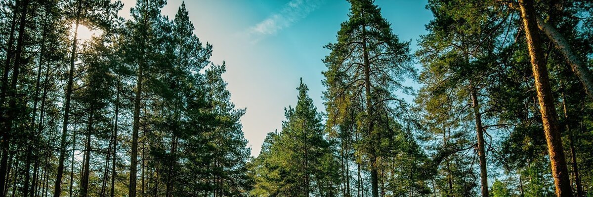 k_mcdermit's profile banner image