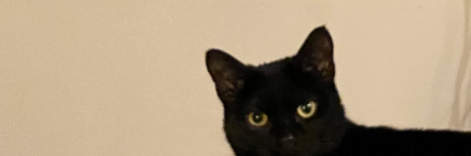 theeepanini's profile banner image