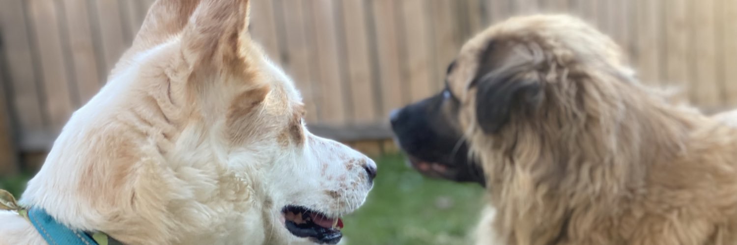 AlyssaHomie_'s profile banner image