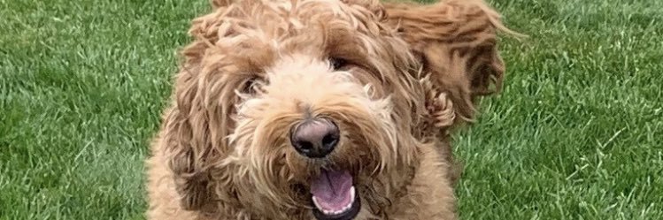 dannypratt11's profile banner image