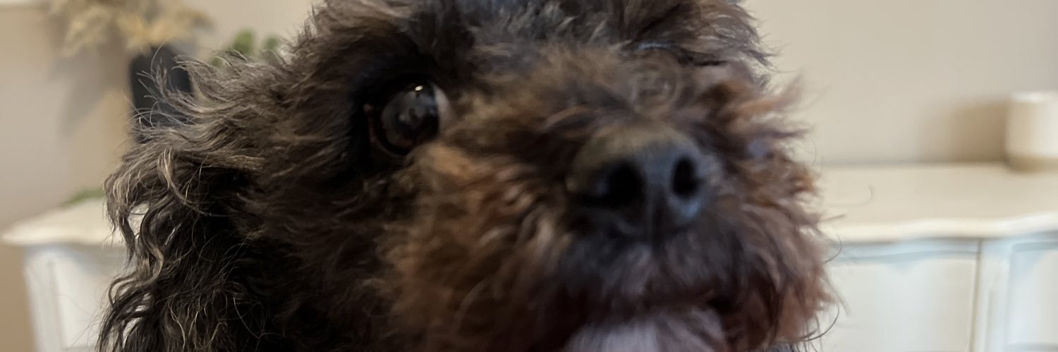 J_matuszewskii's profile banner image