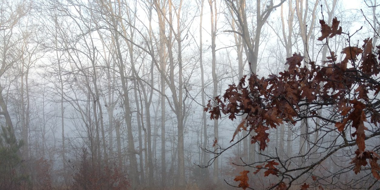 OutdoorLoop's profile banner image
