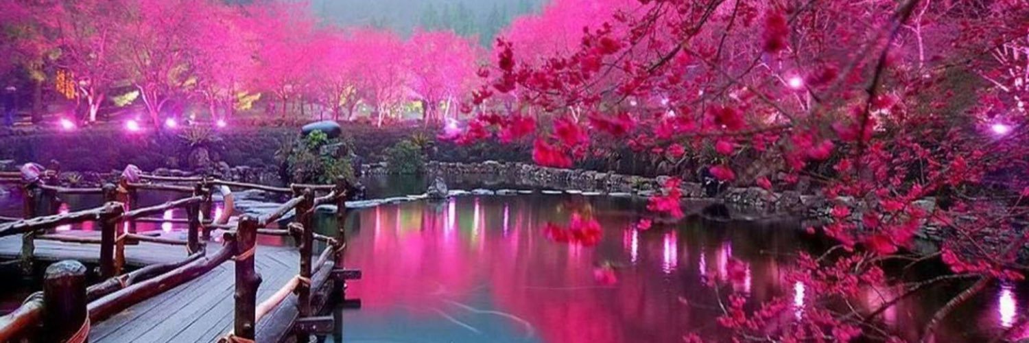 drdndosh's profile banner image
