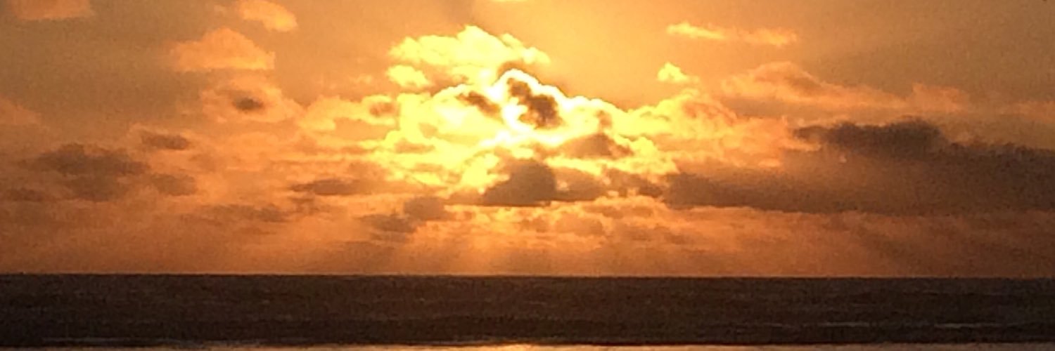 Bribo82's profile banner image