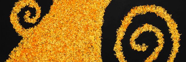 mrdhruvv Profile Banner