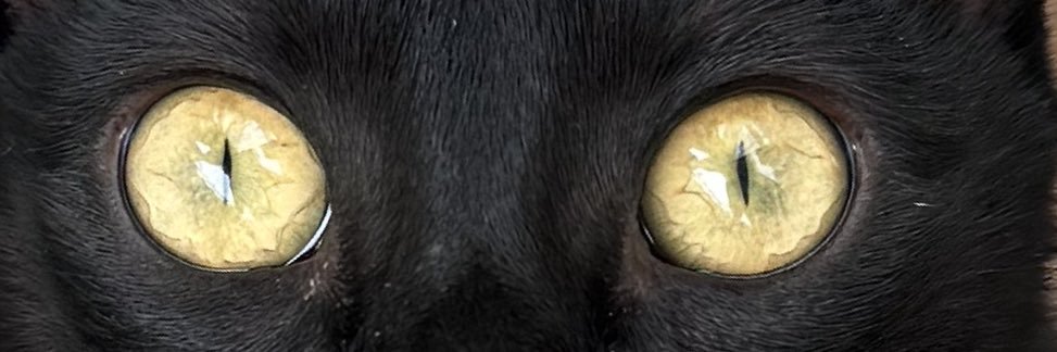 labraatz_'s profile banner image