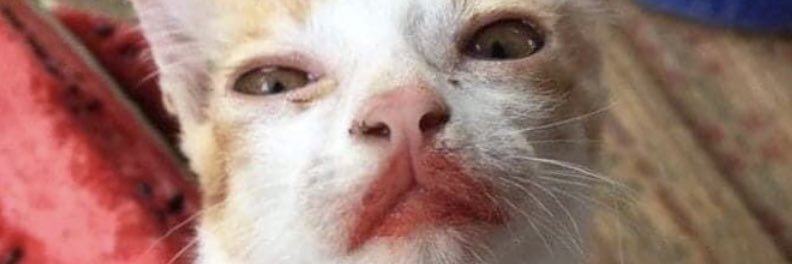 xNaksss's profile banner image