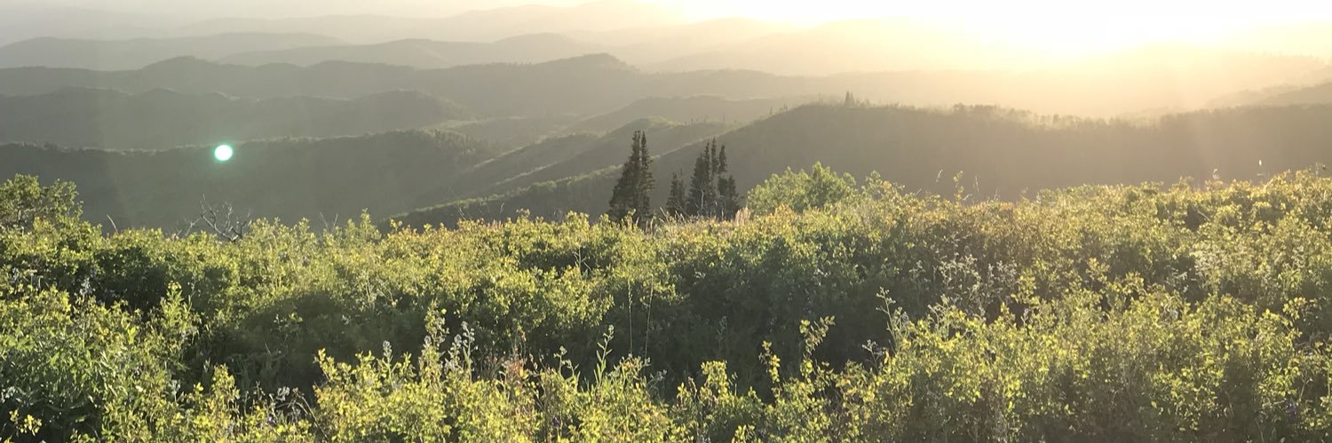 BriannahClinger's profile banner image