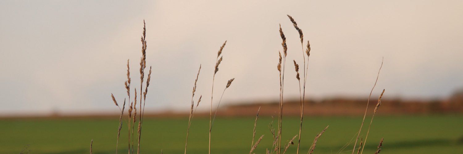 jacob banner