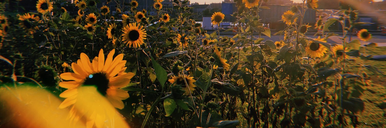 risingrosangela's profile banner image