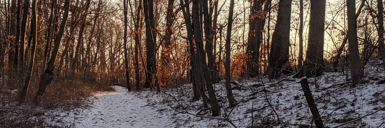 _loganhansen_'s profile banner image