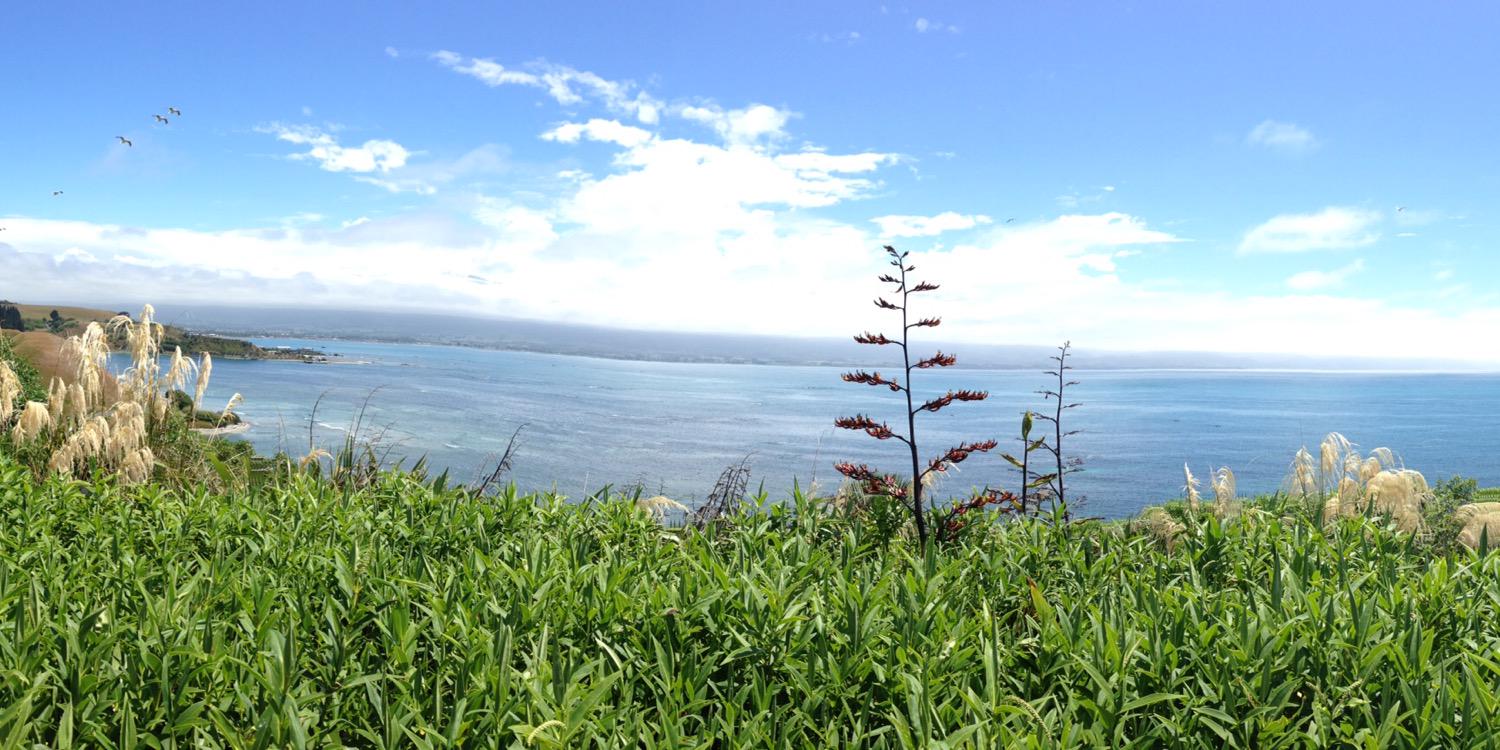 lisa6974's profile banner image