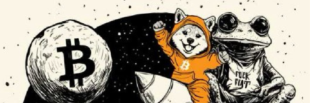 Bondle 44 banner